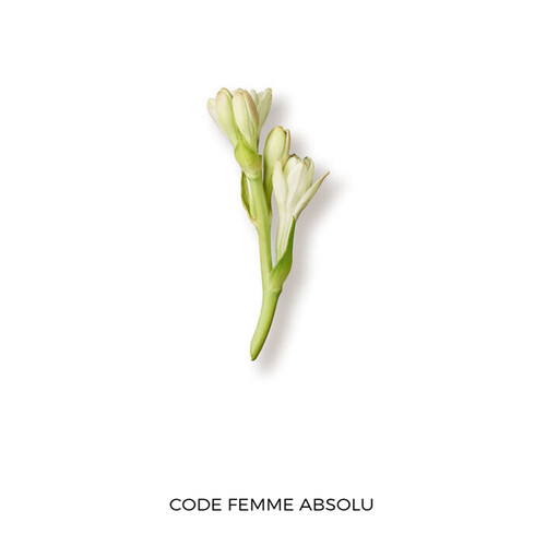   - Giorgio Armani Code Absolu Femme Edp 75ml