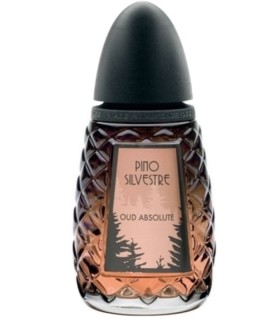   - Pino Silvestre Oud Absolute Edt 125ml