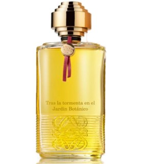   - Loewe Tras la tormenta en el Jardín Botánico Edp 100ml