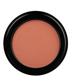 Inglot Blush Radiant Skin Face 21