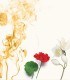 Widian Liwa Velvet Collection Extrait de Parfum 50ml