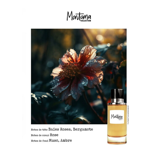 Montana Collection Edition 1 Edp 100ml