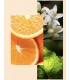 Angel Schlesser Splendid Orange Blossom Edt 150ml