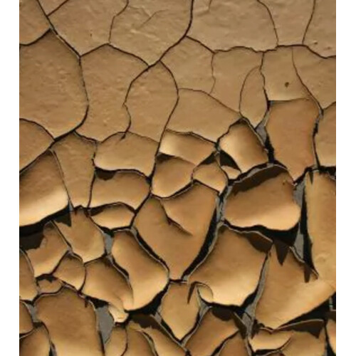 Onno Cuba Libre Edp 100ml