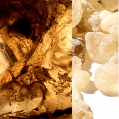 Montblanc Black Meisterstück Absolute Edp 125ml