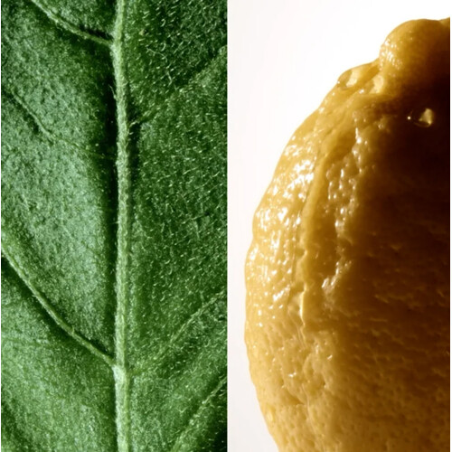 Montblanc Patchouli Ink Dark Wood Edp 125ml