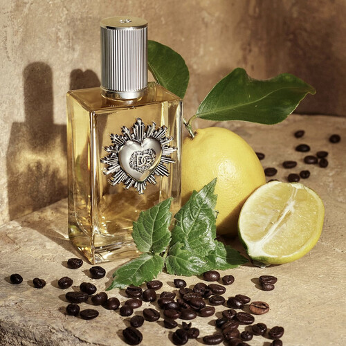 Dolce & Gabbana Devotion Pour Homme Edp 100ml