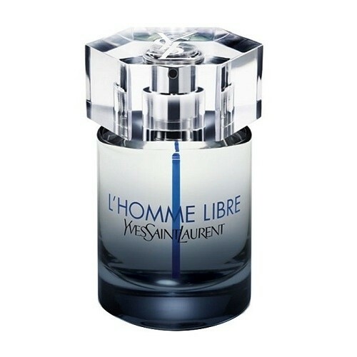   - Yves Saint Laurent LHomme Libr Edt 100ml